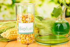 Plain Spot biofuel availability